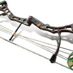 Compound Bows