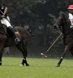 Polo Pic Oct 31 (1)